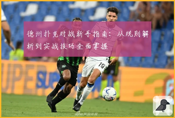德州扑克对战新手指南：从规则解析到实战技巧全面掌握