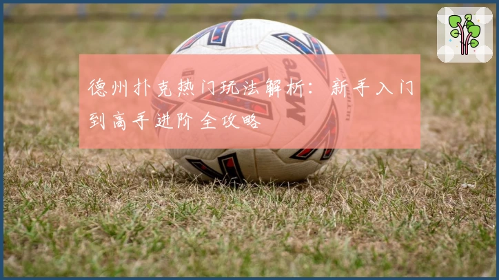 德州扑克热门玩法解析：新手入门到高手进阶全攻略