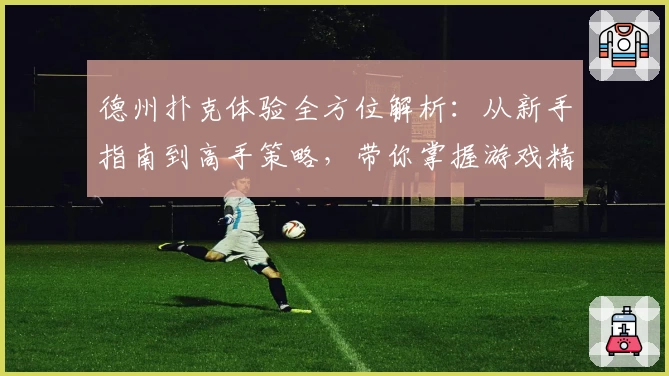 德州扑克体验全方位解析：从新手指南到高手策略，带你掌握游戏精髓