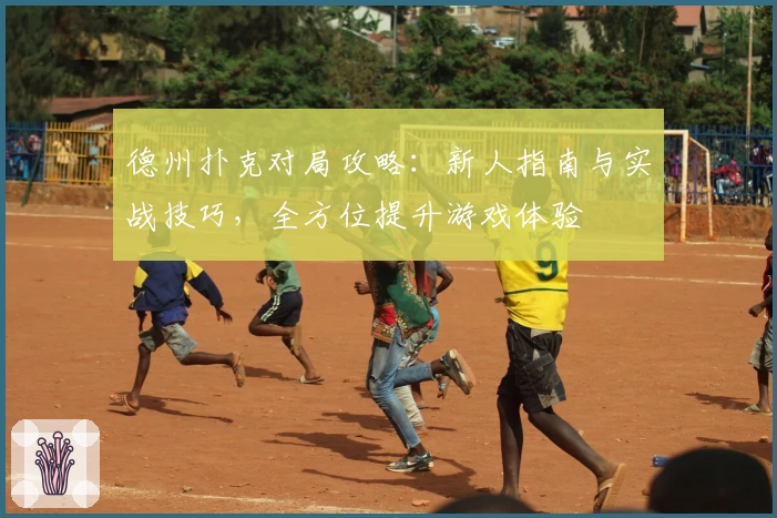 德州扑克对局攻略：新人指南与实战技巧，全方位提升游戏体验