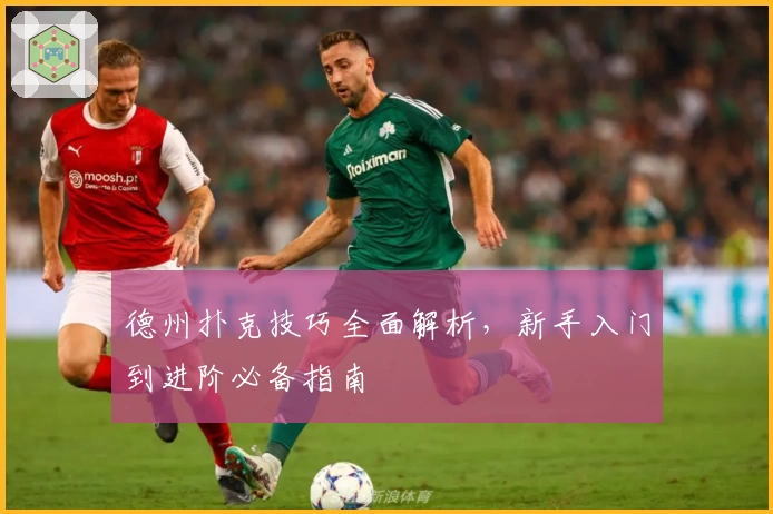 德州扑克技巧全面解析，新手入门到进阶必备指南