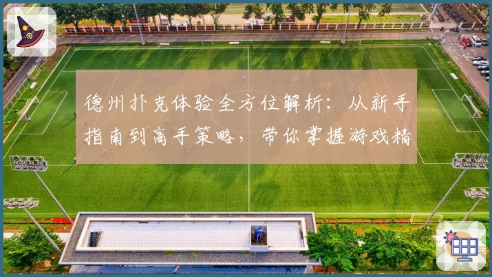 德州扑克体验全方位解析：从新手指南到高手策略，带你掌握游戏精髓